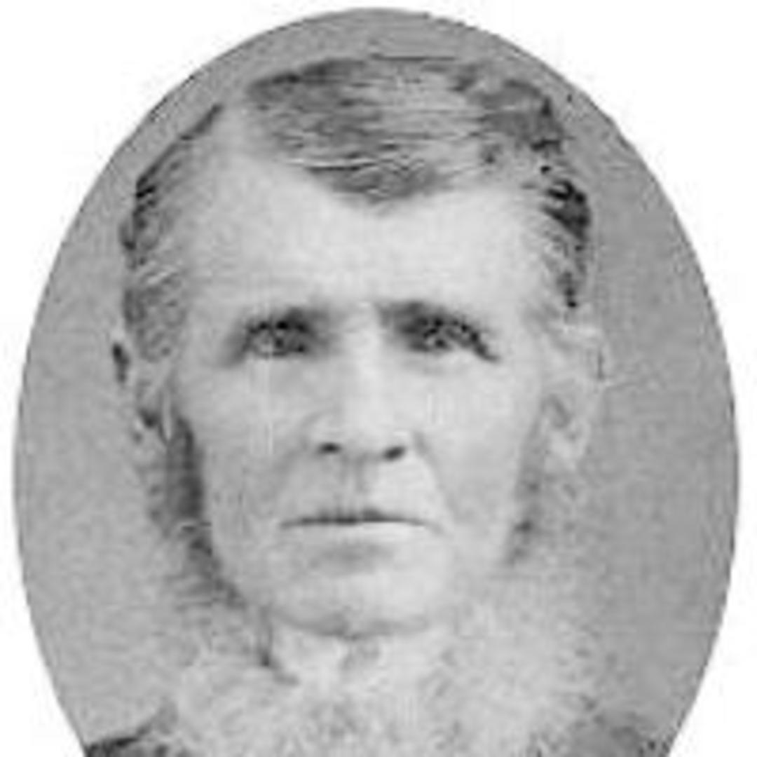 George Sheffer Clark (1816 - 1901) Profile
